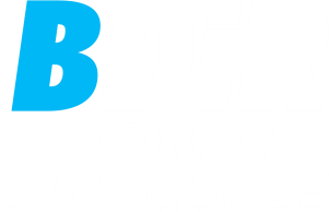 Logotipo de BDir